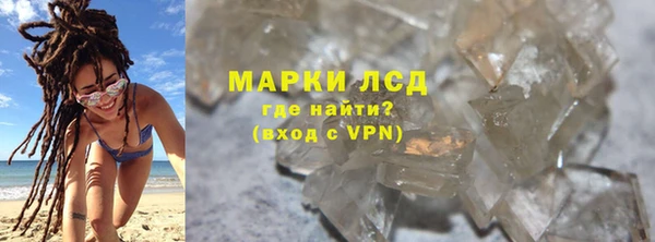 прущие грибы Наволоки