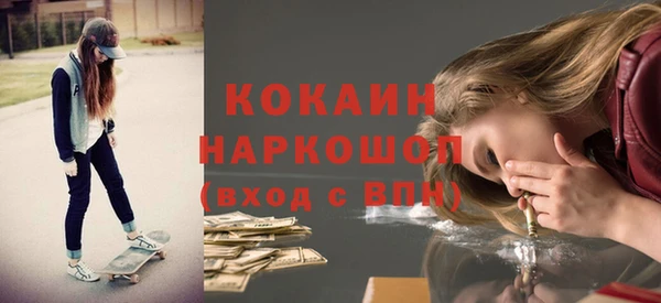 прущие грибы Наволоки