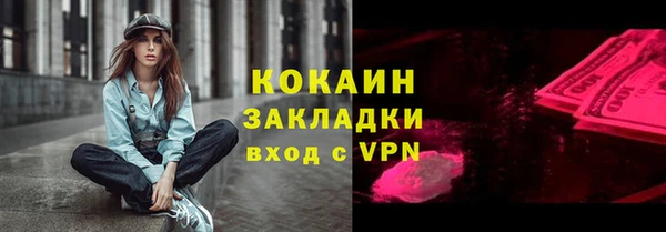 прущие грибы Наволоки