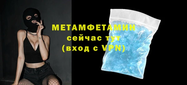 прущие грибы Наволоки
