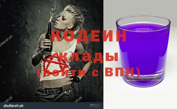 прущие грибы Наволоки