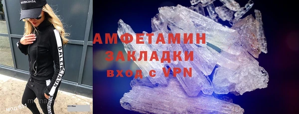 прущие грибы Наволоки
