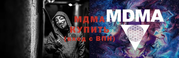 прущие грибы Наволоки