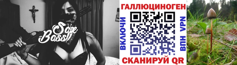 Псилоцибиновые грибы мухоморы где продают наркотики Хабаровск